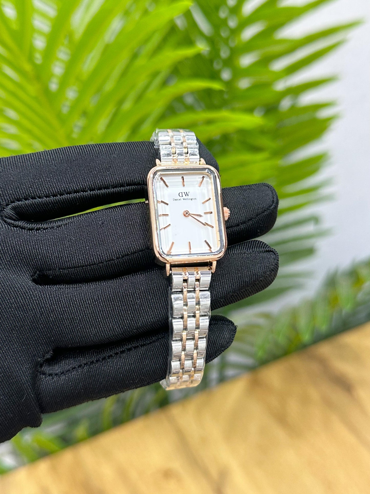 DANIEL WELLINGTON (With Og Box)